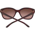 AGATA, Shiny Red Tortoise-Mineral Polarized Drivers Gradient Cat 2 to 3, hi-res image number null